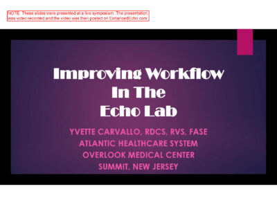 Improving Workflow in the Echo Lab – SDMS